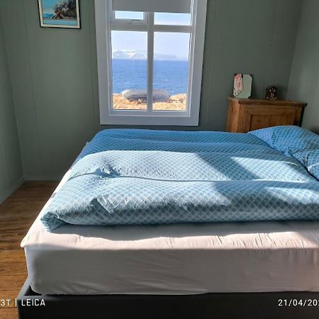 Happy-Cove Guesthouse - By The Sea Bakkafjorthur Eksteriør bilde