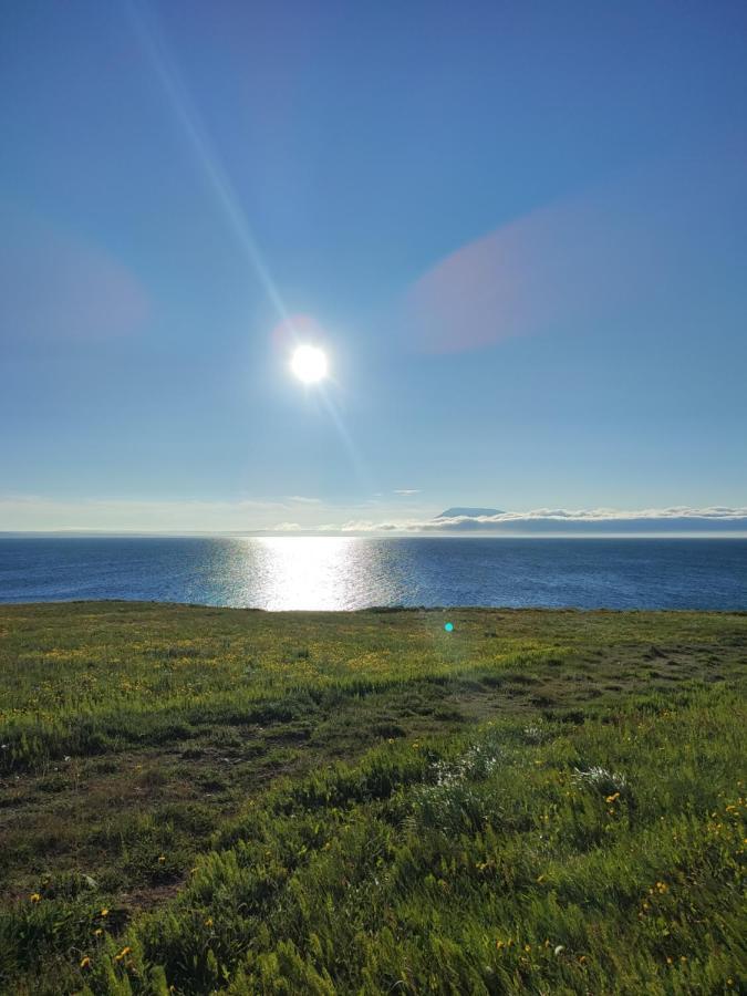 Happy-Cove Guesthouse - By The Sea Bakkafjorthur Eksteriør bilde