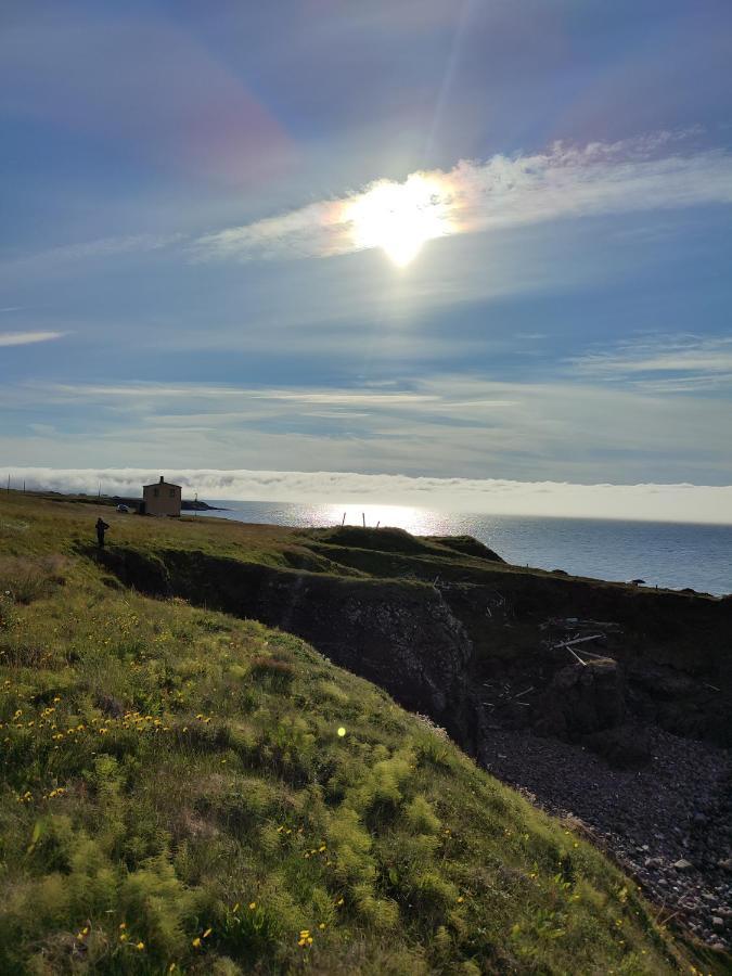 Happy-Cove Guesthouse - By The Sea Bakkafjorthur Eksteriør bilde