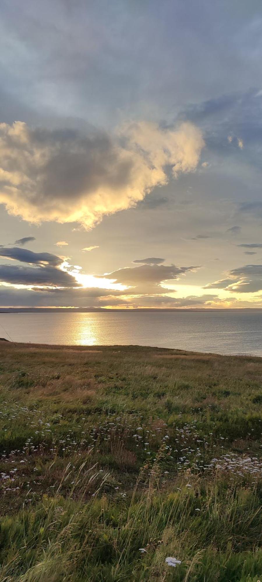 Happy-Cove Guesthouse - By The Sea Bakkafjorthur Eksteriør bilde