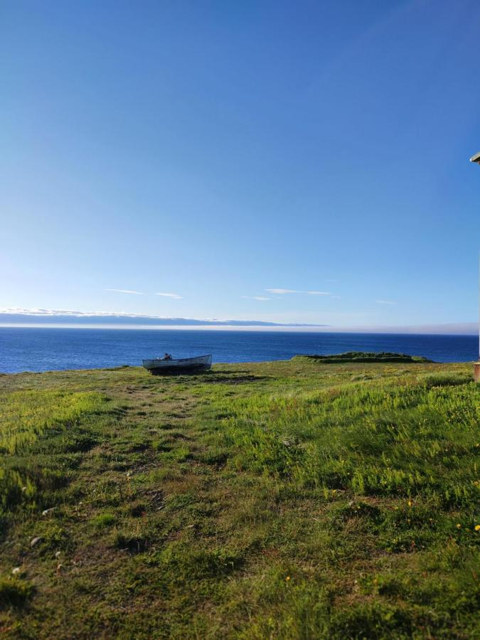 Happy-Cove Guesthouse - By The Sea Bakkafjorthur Eksteriør bilde