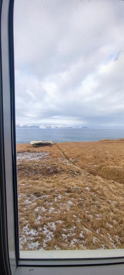 Happy-Cove Guesthouse - By The Sea Bakkafjorthur Eksteriør bilde