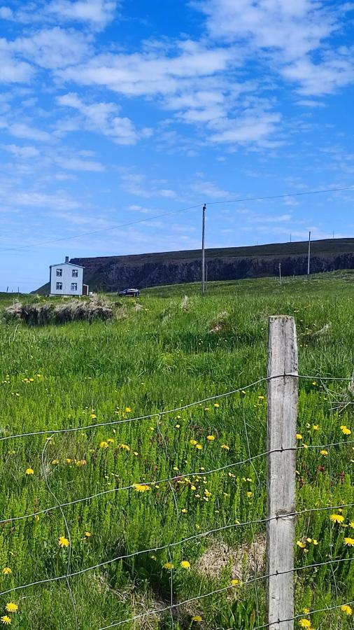 Happy-Cove Guesthouse - By The Sea Bakkafjorthur Eksteriør bilde